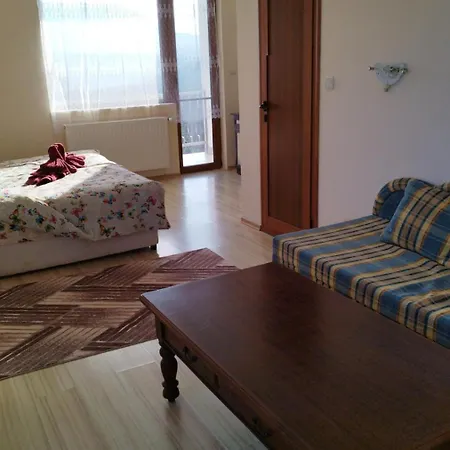 Hotel Dt Complex - Business & Tourist Spot - туристически комплекс *