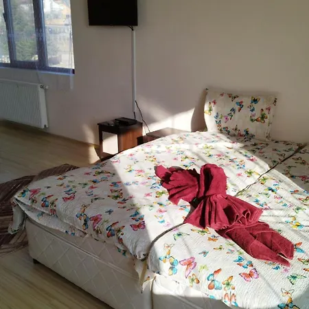 Hotel Dt Complex - Business & Tourist Spot - туристически комплекс